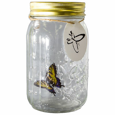 Animated Butterfly in a Jar - Yellow Swallow